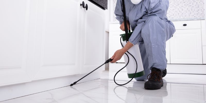 Como Preparar a Casa para Dedetização em Belo Horizonte: 5 Passos Como preparar a casa para dedetização em Belo Horizonte